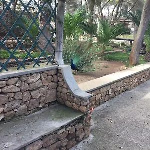 16 Porto Santo